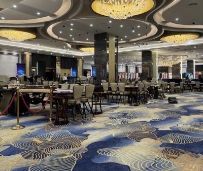 WILTON HALI 2300 GR/M2